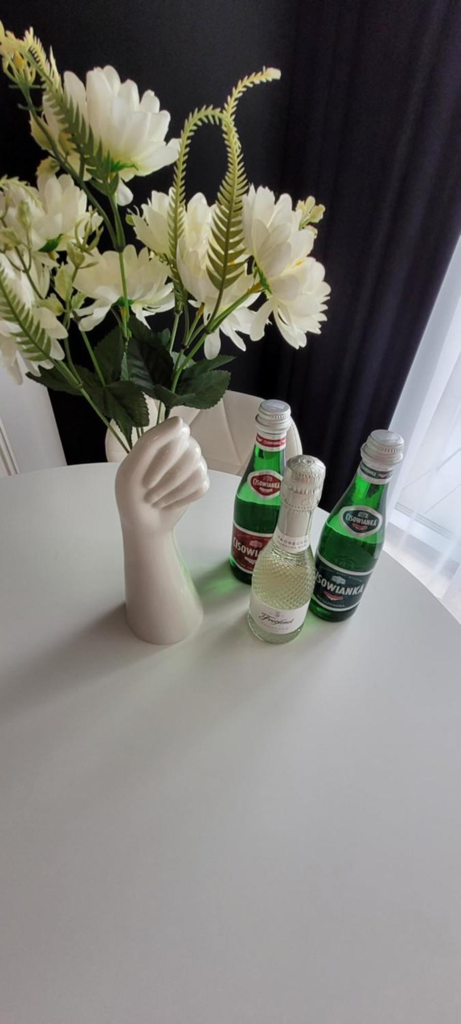 Hanza Tower Apartament 306, Basen, Sauna, Jacuzzi, Fitness Stettino Esterno foto